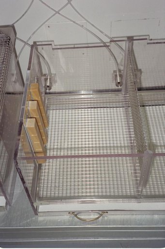 ARC-1994-AC94-0289-41