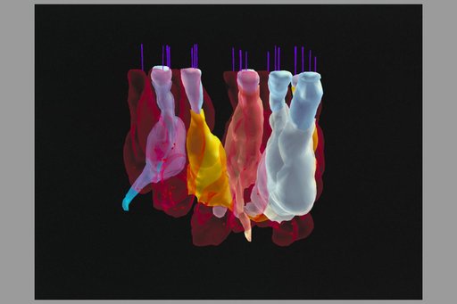ARC-1995-AC95-0368-2