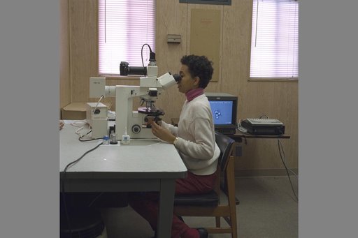 ARC-1996-AC96-0394-5