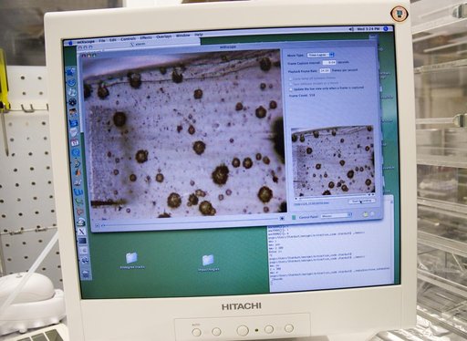 ARC-2006-ACD06-0216-014