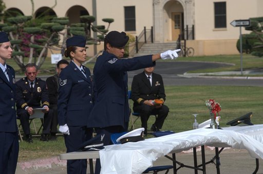 ARC-2008-ACD08-0200-051