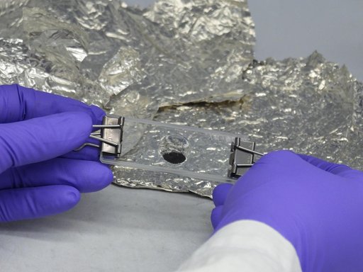 Sample of Asteroid Bennu
