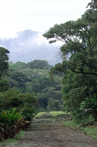 Pre-Columbian archaeological ruins are revealed through Costa Rican rain forest in this photo taken during NASA's AirSAR 2004 campaign