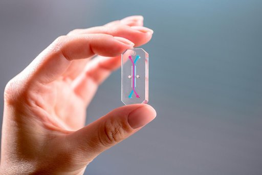 EMULATE_AVATAR_OrganChip
