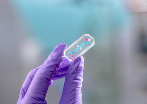 Emulate_AVATAR_OrganChip_gloved