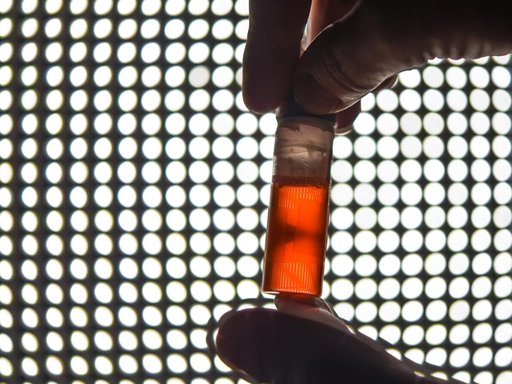 Light Microscopy Microscope Experiment