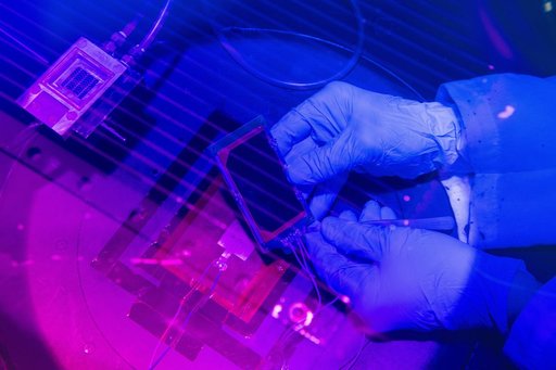 Perovskite Solar Cells