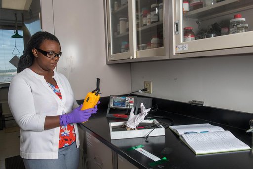 Development of Lightweight, Electrically Conductive, Multi-fu...