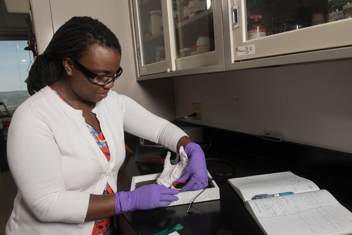 Development of Lightweight, Electrically Conductive, Multi-fu...