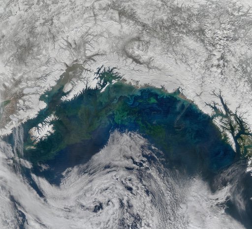 Gulf of Alaska