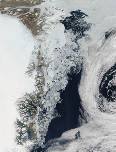 Sea ice in the Greenland Sea