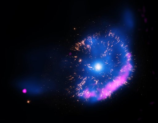 Firework Nova