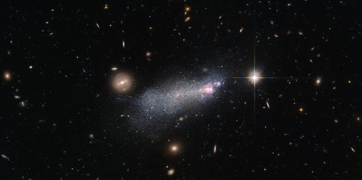 Hubble View: Wolf-Rayet Stars, Intense and Short-Lived