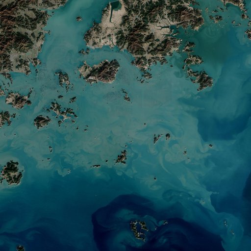 Seaweed Farms in South Korea