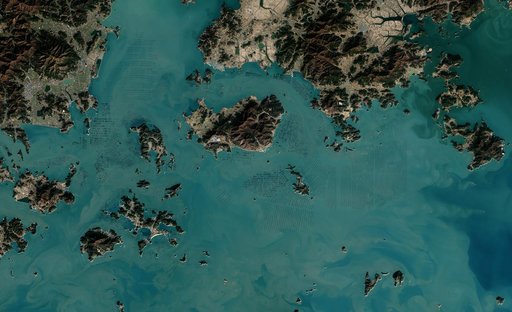 Seaweed Farms in South Korea [detail]