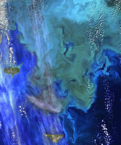 NASA Ocean Data Shows ‘Climate Dance’ of Plankton