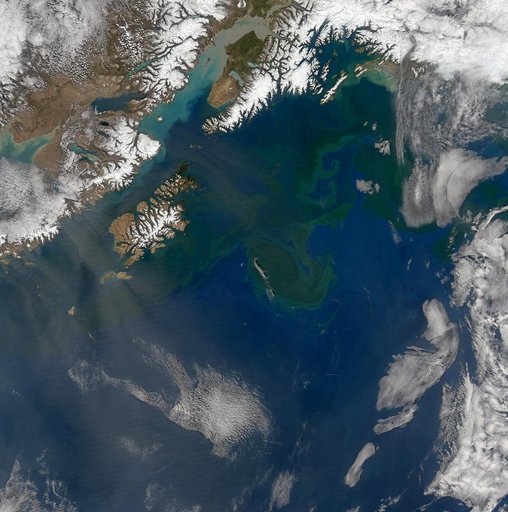 Gulf of Alaska