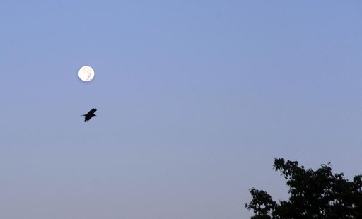 Harvest Moon at NASA Goddard