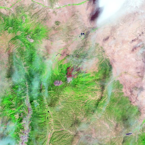 East Peak Fire Burn Scar, Colorado [high res]