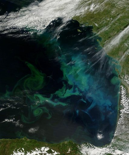 Phytoplankton bloom in the Bay of Biscay