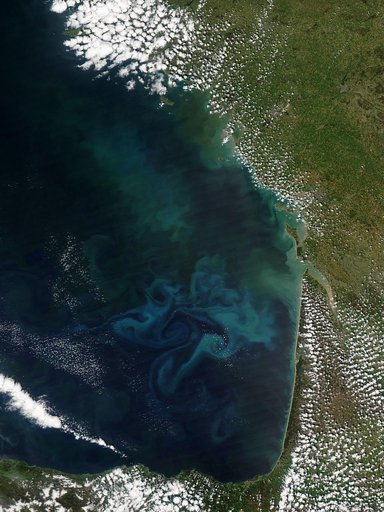 Phytoplankton bloom in the Bay of Biscay