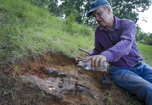 Nodosaur Footprint Verified