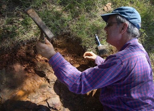 Nodosaur Footprint Verified