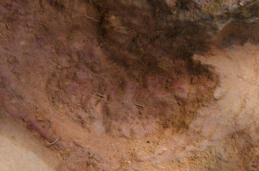 Nodosaur Footprint Verified - Detail of Baby Footprint
