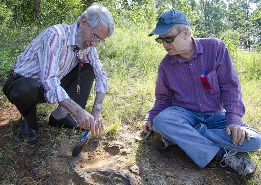 Nodosaur Footprint Verified