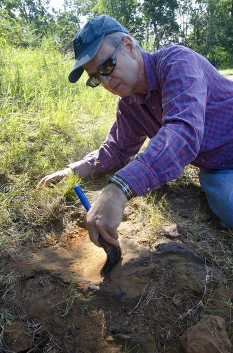 Nodosaur Footprint Verified