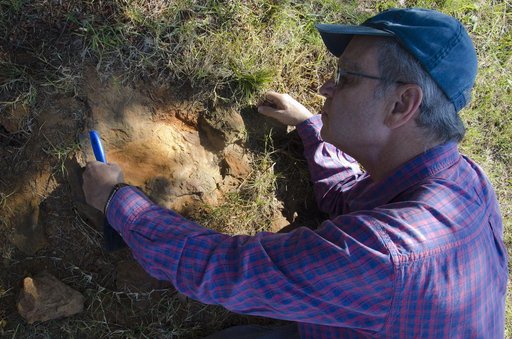 Nodosaur Footprint Verified