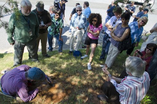 Nodosaur Footprint Verified