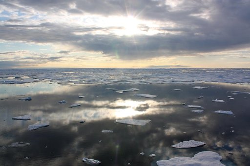 Sea Ice in the Chukchi Sea