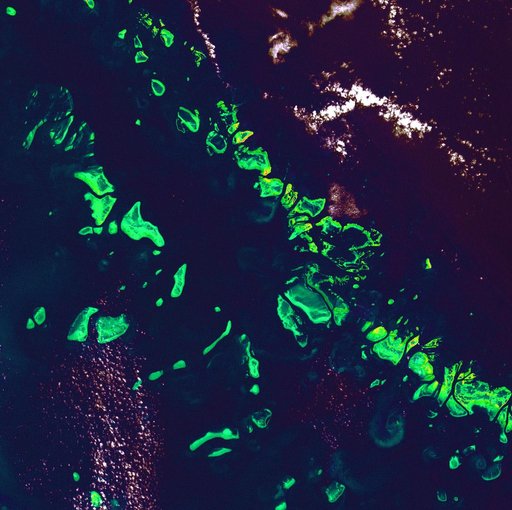 Great Barrier Reef