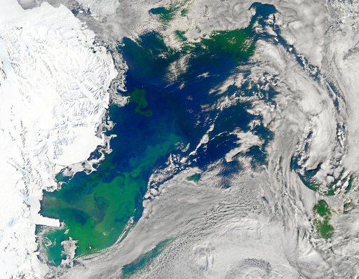Bloom in the Ross Sea [detail]