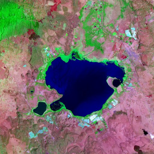 Happy Mother's Day - Flowers Fields as Seen by NASA Satellite