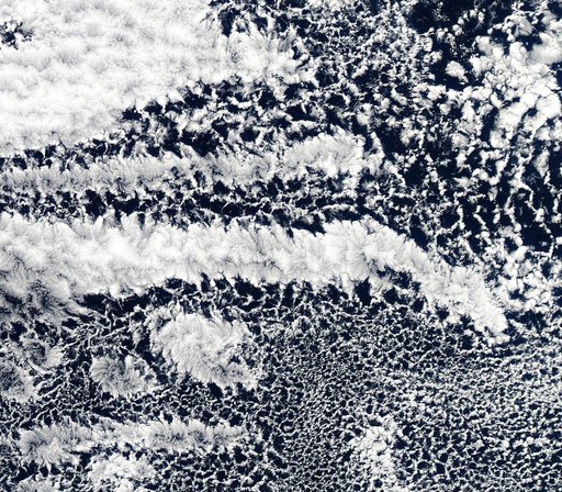 Open-cell and closed-cell clouds off Peru [detail]