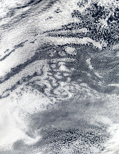Open-cell and closed-cell clouds off Peru
