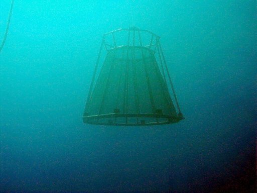 KSC-00padig011