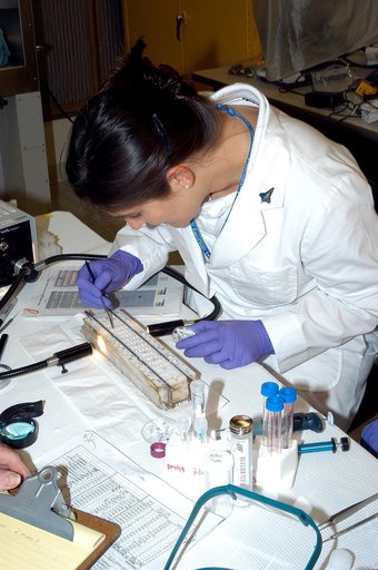 KENNEDY SPACE CENTER, FLA. -  Valerie Cassanto, with Instrumentation Technology Associates, Inc., works on an experiment found during the search for Columbia debris.  Included in the Commercial ITA Biomedical Experiments payload on mission STS-107 are urokinase cancer research, microencapsulation of