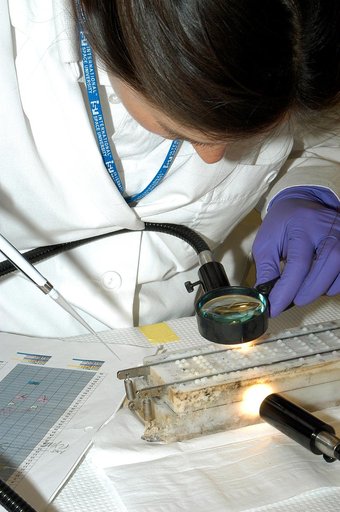 KENNEDY SPACE CENTER, FLA. - Valerie Cassanto, with Instrumentation Technology Associates, Inc., examines closely the container containing one of the experiments carried on mission STS-107.  Several experiments were found during the search for Columbia debris.  Included in the Commercial ITA Biomedi