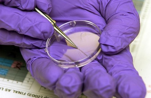 KENNEDY SPACE CENTER, FLA. -  The crystals visible in this laboratory dish were part of an experiment carried on mission STS-107. Several experiments were found during the search for Columbia debris. Included in the Commercial ITA Biomedical Experiments payload on mission STS-107 are urokinase cance