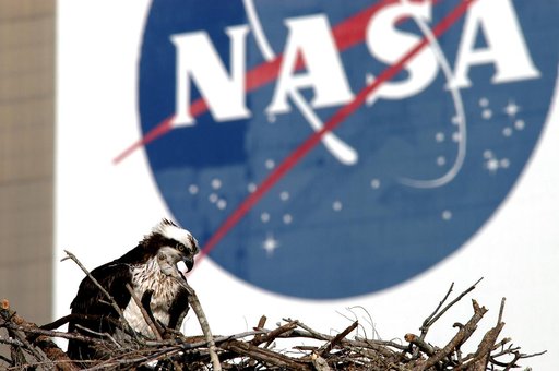 KENNEDY SPACE CENTER, FLA. -- A breeding osprey occupies a nest constructed on a speaker pole in the lower parking lot of the KSC Press Site. Eggs have been sighted in the nest. The NASA logo in the background is painted on an outer wall of the 525-foot-tall Vehicle Assembly Building nearby. Known a
