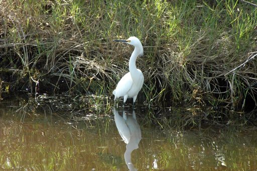 KSC-07pd0153