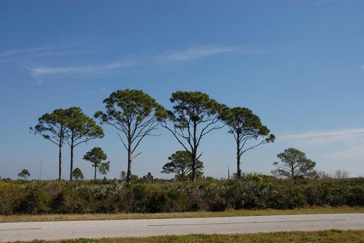 KSC-07pd0365