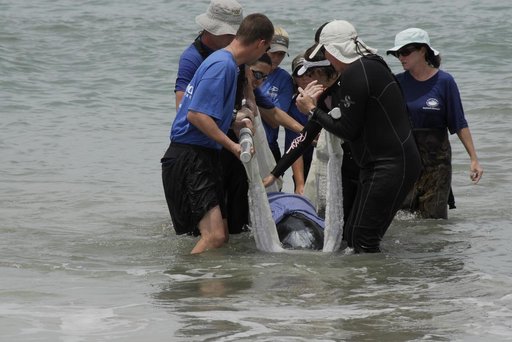 KSC-08pd1823