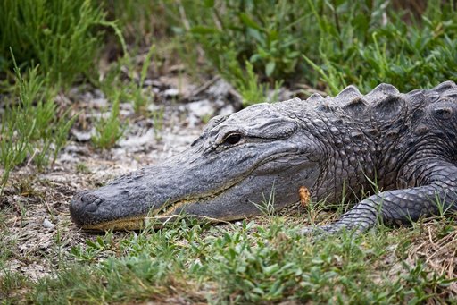 KSC-2009-2865