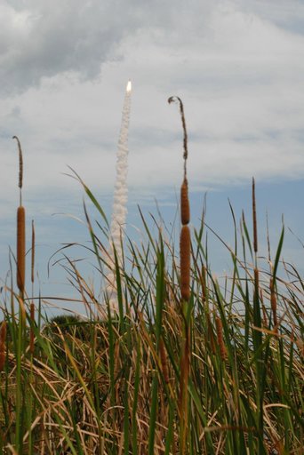 KSC-2009-3101