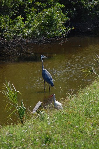 KSC-2009-3154