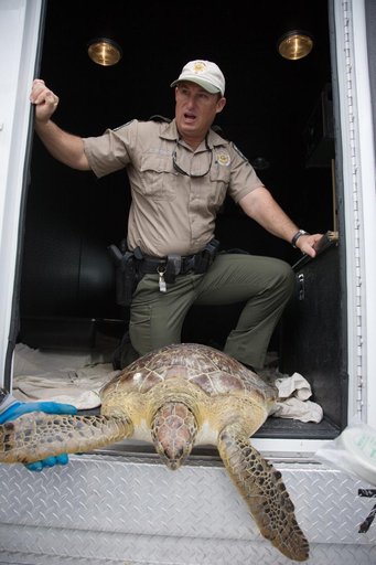 KSC-2010-1268